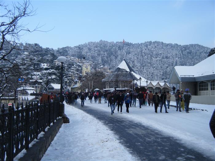 shimla